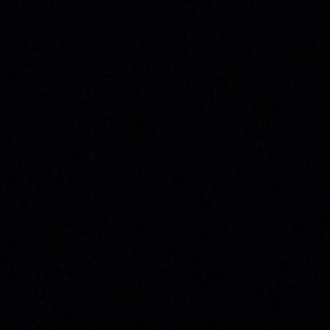 Meet your Posher, Zoey